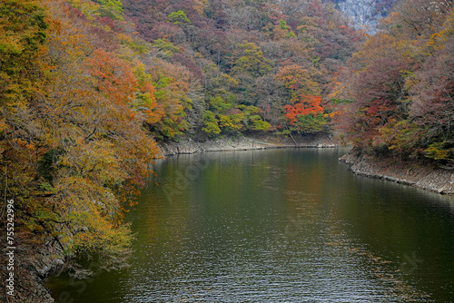 Fototapeta Naklejka Na Ścianę i Meble -  神龍湖