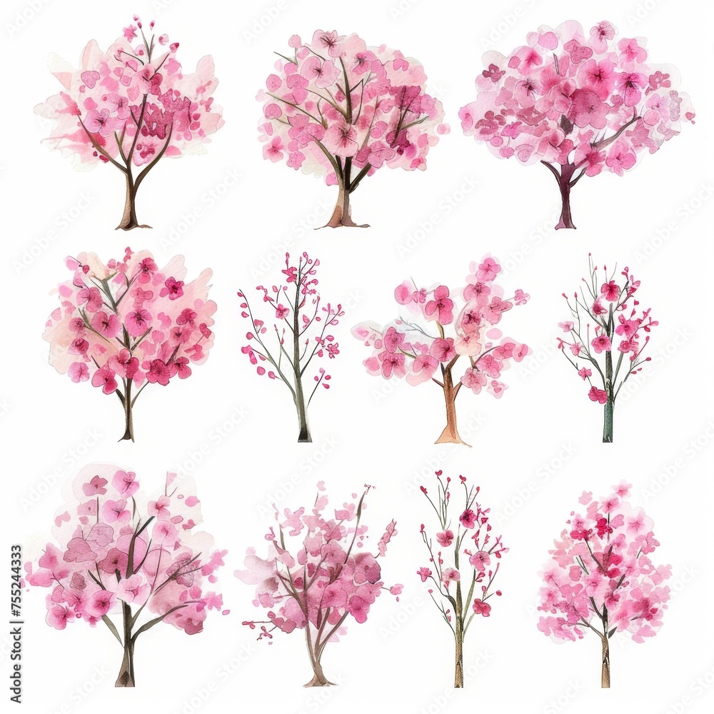 Fototapeta premium KSSet of watercolor cherry trees on white background.