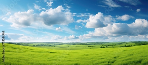 A picturesque natural landscape with a lush green field  under a clear blue sky adorned with fluffy white cumulus clouds. A serene rural area with an expansive grassland and plains