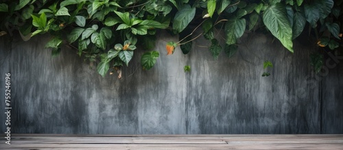 A view of green leaves scattered on a wooden floor against a concrete wall. The contrast between the organic leaves and the industrial wall creates an interesting visual composition.