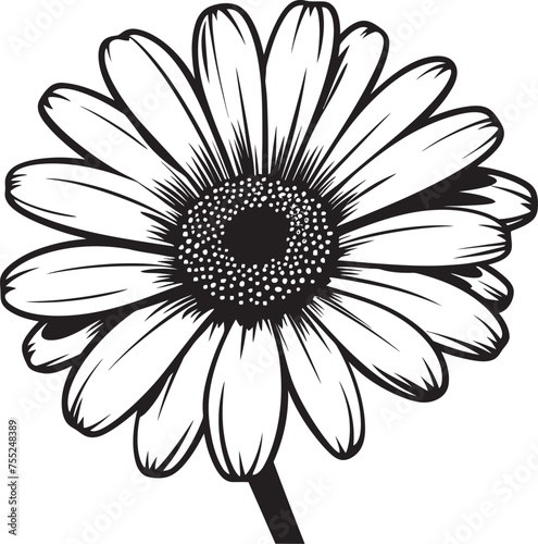 Fototapeta Naklejka Na Ścianę i Meble -  Bloom Burst Gerbera Daisy Logo Design Fresh Floral Gerbera Daisy Vector Icon