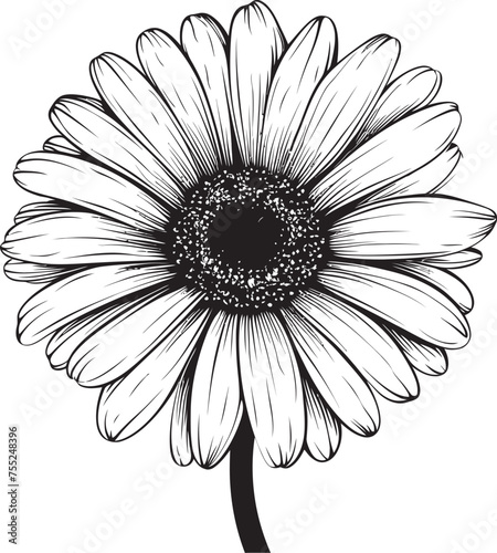 Fototapeta Naklejka Na Ścianę i Meble -  Floral Majesty Gerbera Daisy Logo in Vector Blossom Brilliance Gerbera Daisy Vector Emblem