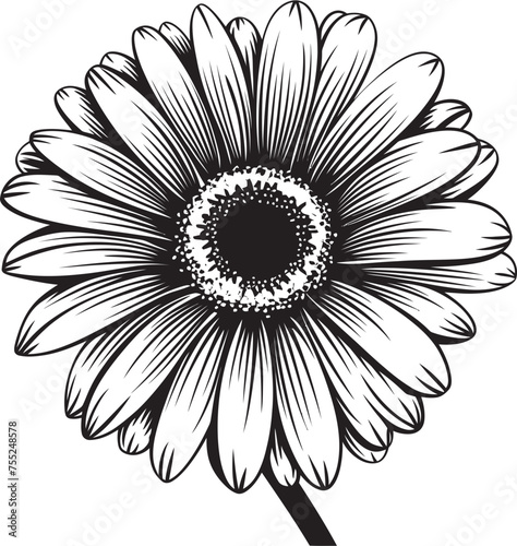 Fototapeta Naklejka Na Ścianę i Meble -  Radiant Beauty Gerbera Daisy Icon Design Floral Majesty Gerbera Daisy Logo in Vector