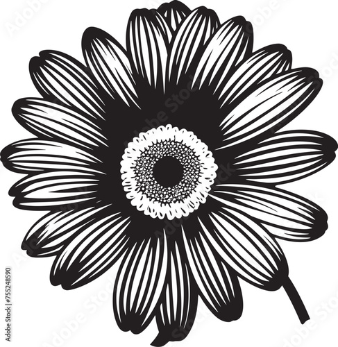 Elegant Blossom Gerbera Daisy Vector Emblem Radiant Beauty Gerbera Daisy Icon Design