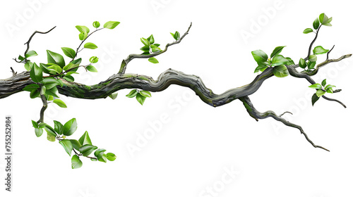 The circular tree trunk is surrounded by growing leaves isolated on a transparent background.