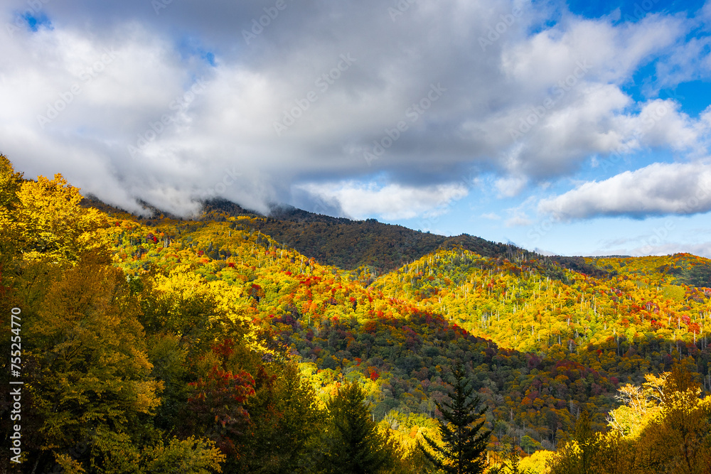 Beautiful autumn views at Great Smoky Mountains National Park.