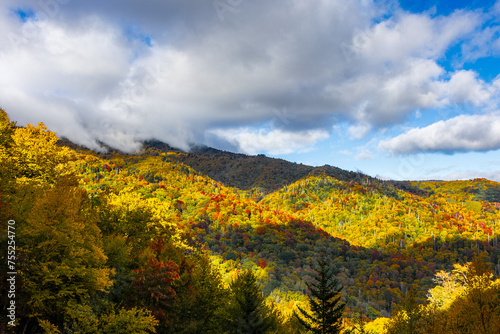 Beautiful autumn views at Great Smoky Mountains National Park.