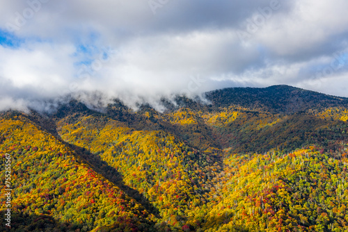 Beautiful autumn views at Great Smoky Mountains National Park.