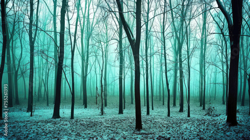 A mystical foggy forest with bare trees and a light dusting of snow illuminated by a cool ethereal light photo