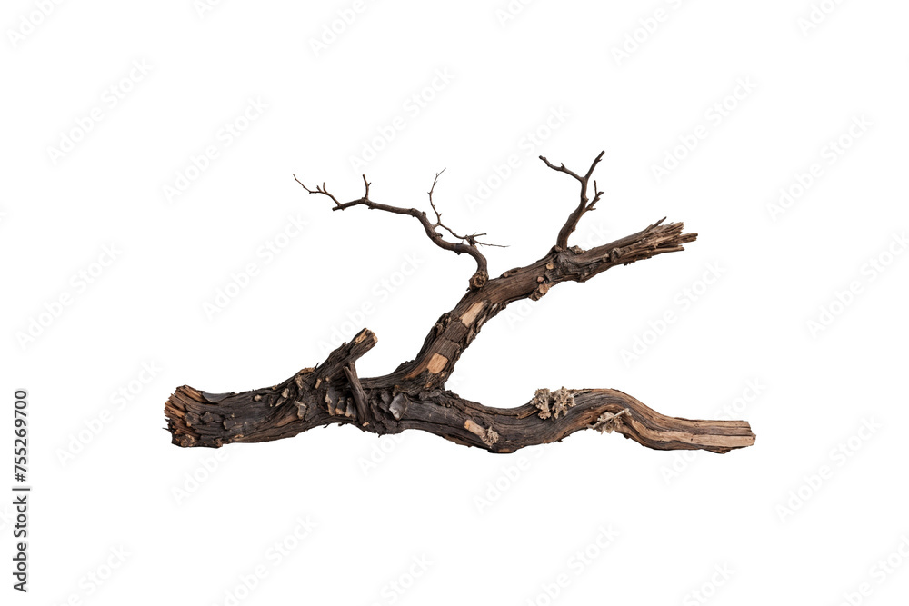 A long, thin branch with a few knots and a few small holes A long, thin branch with a few knots and a few small holes