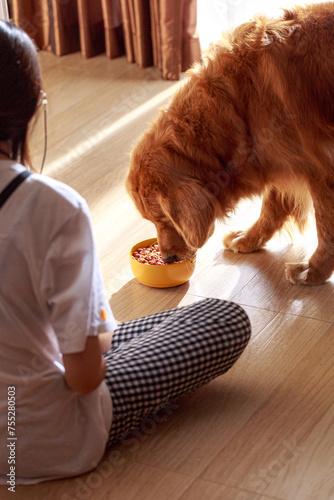 Golden Dog eating pellets dry in a bowl.