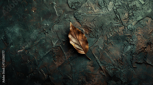 dark leaf in top texture of wood