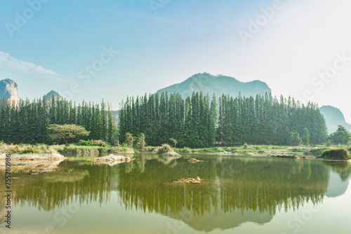 Mountain and Pine trees misty mirror reflection Lake in New Zealand, natural landscape background