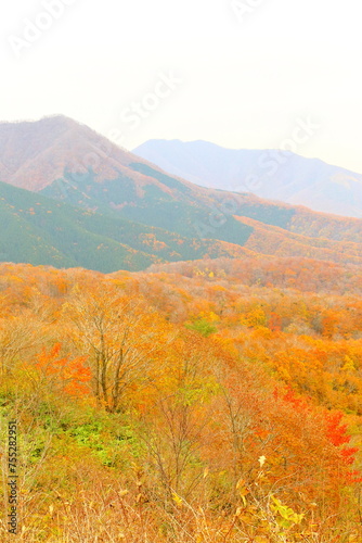 日本旅行の美しい風景　紅葉, 剣山