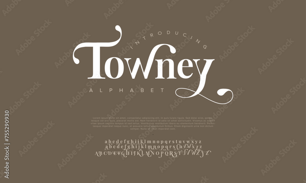 Towney premium luxury elegant alphabet letters and numbers. Vintage wedding typography classic serif font decorative vintage retro. Creative vector illustration