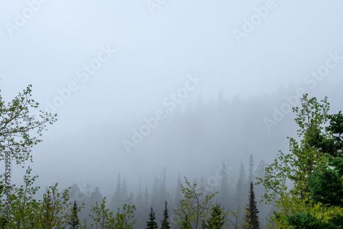 Mountains in fog