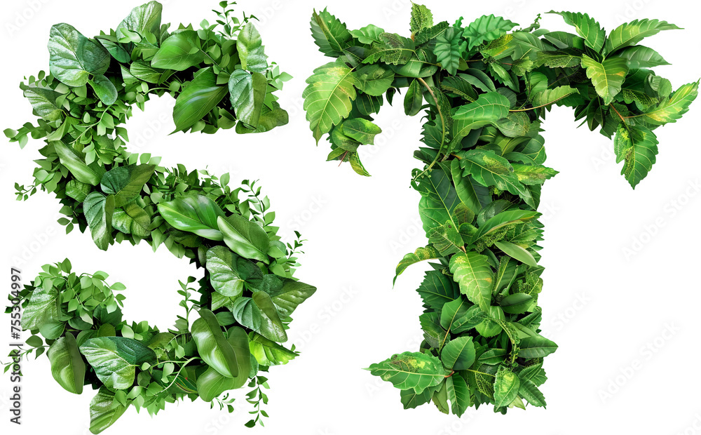 Obraz premium green leaves alphabet S,T