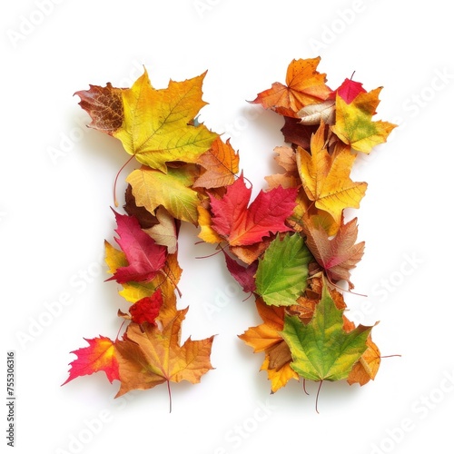 Alphabet of Nature: Letter N Composed of Fresh Multicolored Autumn Leaves on White Background