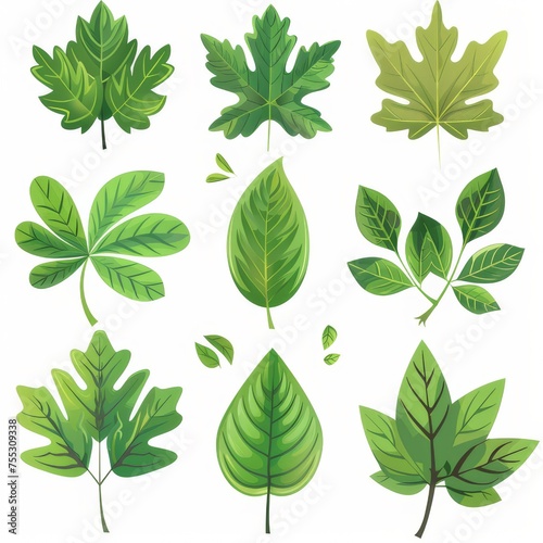 Clipart illustration with various leaves. on a white background
