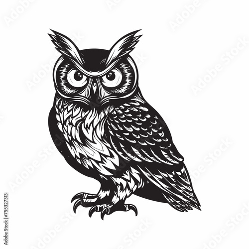 Owl bird vintage woodcut style drawing vector