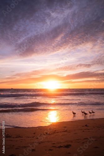 sunset on the beach
