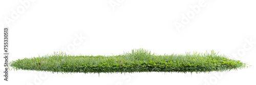 Unit green grass on transparent background 3d rendering png