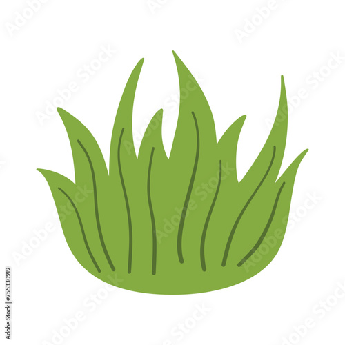 Green grass leaves. nature decoration vector