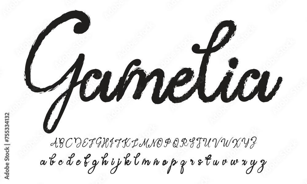 Hand drawn vector alphabet. Modern monoline signature script font. Chloe Signature Font Hand drawn vector alphabet. Modern monoline signature script font. Chloe Signature Font