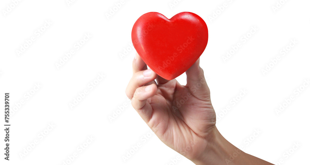 Hands holding red heart. heart health donation Hands holding red heart. heart health donation