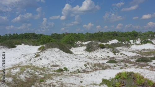 Beach Sand Dunes photo