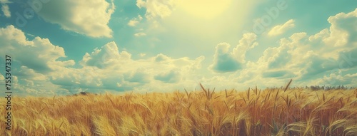 Golden Wheat Field with Sunlight and Blue Sky