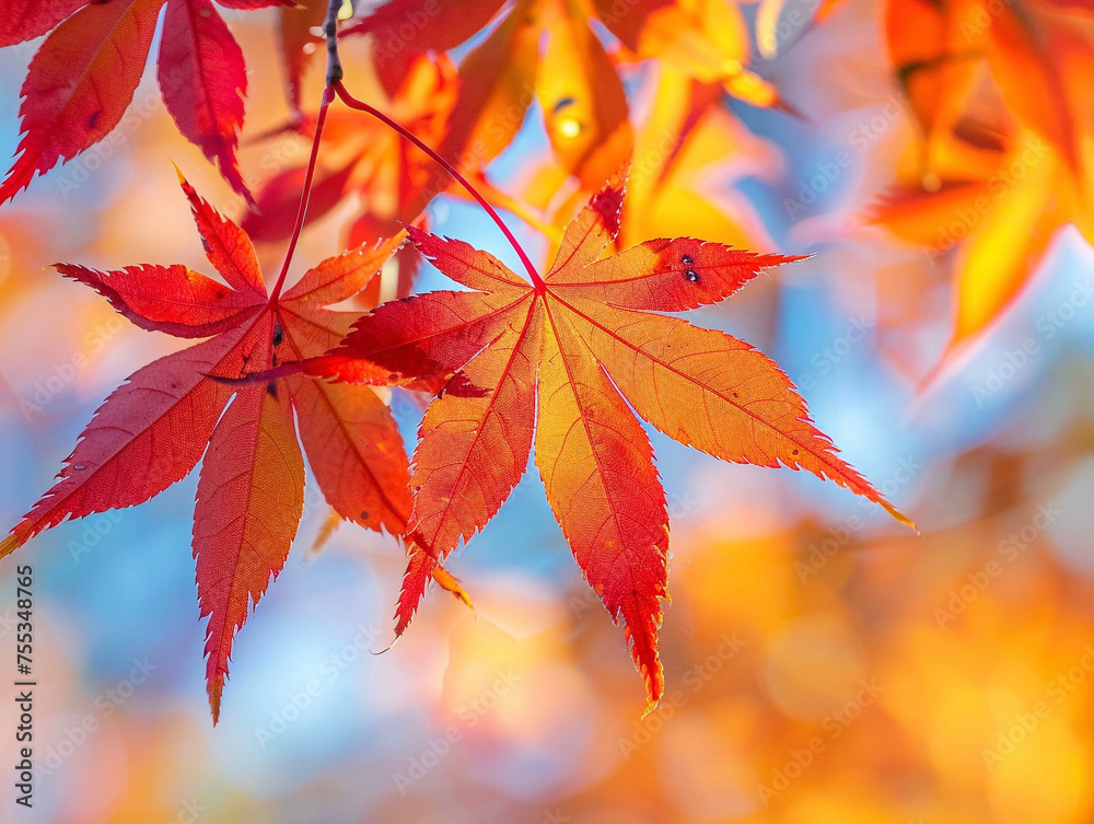 青空に映える鮮やかな紅葉 Generative AI 青空に映える鮮やかな紅葉 Generative AI