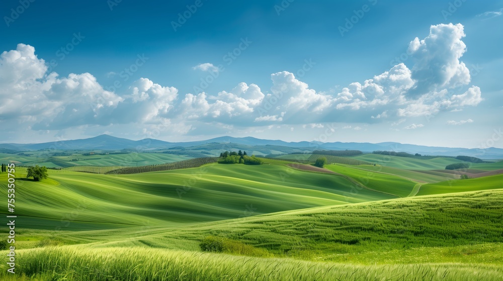 Fototapeta premium Gentle rolling hills of farmland stretch under a clear blue sky.