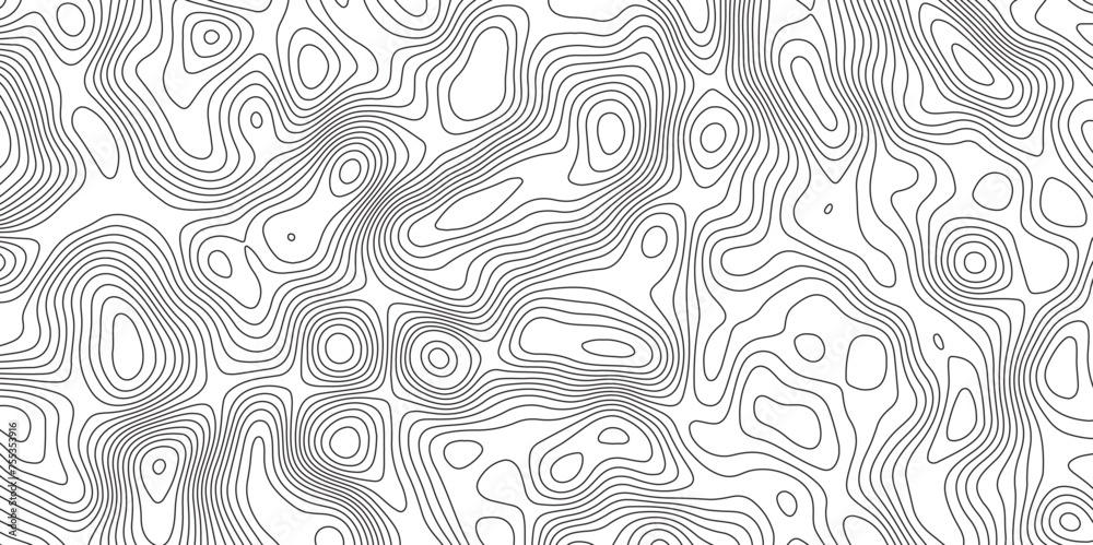 Black-white background from Ocean topographic. Geographic mountain relief. Panorama view gradient multicolor wave curve lines banner background design. 