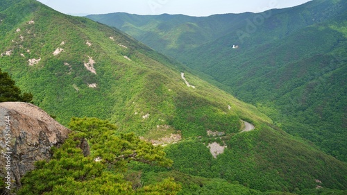 Summer landscape of Mt. Gaji in Miryang, Korea photo