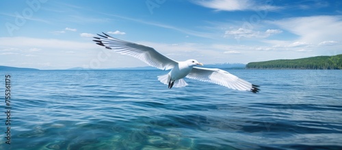 A white bird flies gracefully over Lake Geneva, its wings outstretched as it glides effortlessly above the calm waters below. The birds elegant form reflects in the sparkling surface of the lake as it