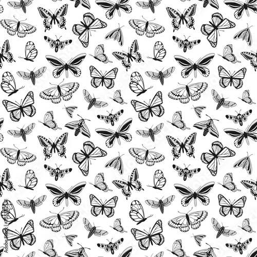 vector pattern of butterflies in sketch style