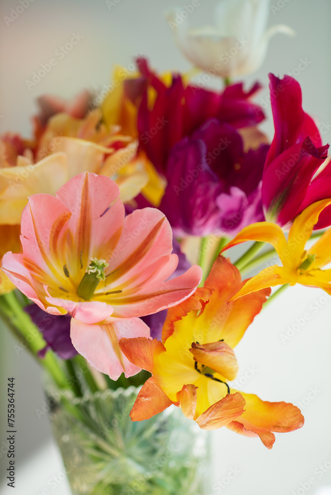Fototapeta premium colorful tulips in the vase