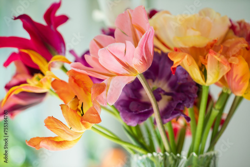 colorful tulips in the vase