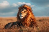 A majestic lion basking in the savanna sun, with a gentle breeze ruffling its mane