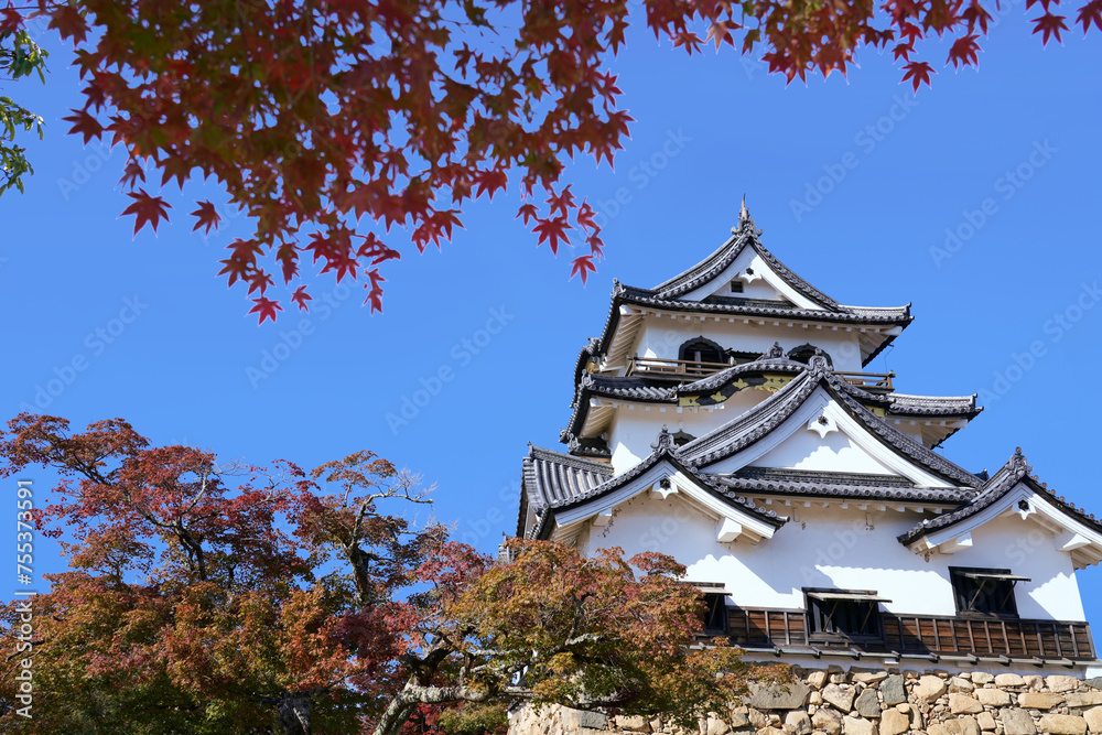 Hikone Castle on a clear autumn day with beautiful red maple leaves. - obrazy, fototapety, plakaty 