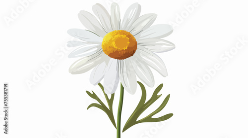 Chamomile head vector flat vector isolated on white background