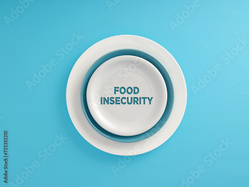 The inscription Food Insecurity written on a plate over blue background.