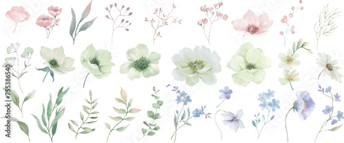 Watercolor floral set. Hand drawn illustration isolated on transparent background. Vector EPS.