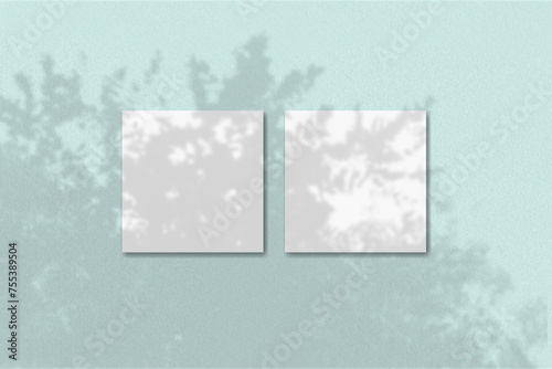 Natural light casts shadows from the plant on 2 square sheets of white textured paper lying on a blue textured background. Mockup