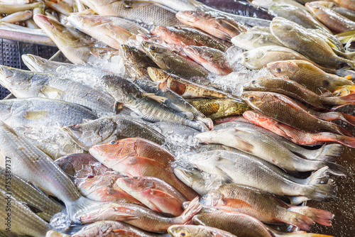 Various species of fish were stacked in rows for sale on the stalls. They are caught and sold in the fresh market by local fishermen every morning to be prepared as food. photo