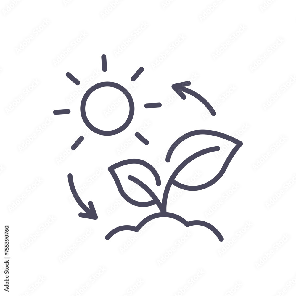 photosynthesis icon with plant and sun, vector thin line illustration ...