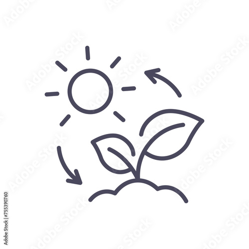 photosynthesis icon with plant and sun, vector thin line illustration for natural energy exchange, plant biology, sustainability, environment and ecological science