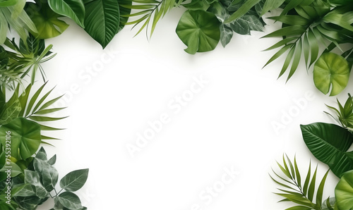 Mockup for natural organic product presentation ad concept. Stylish minimalist flat lay. Empty template Bali style white wall background for text. Green exotic foliage on white wall with copy space.