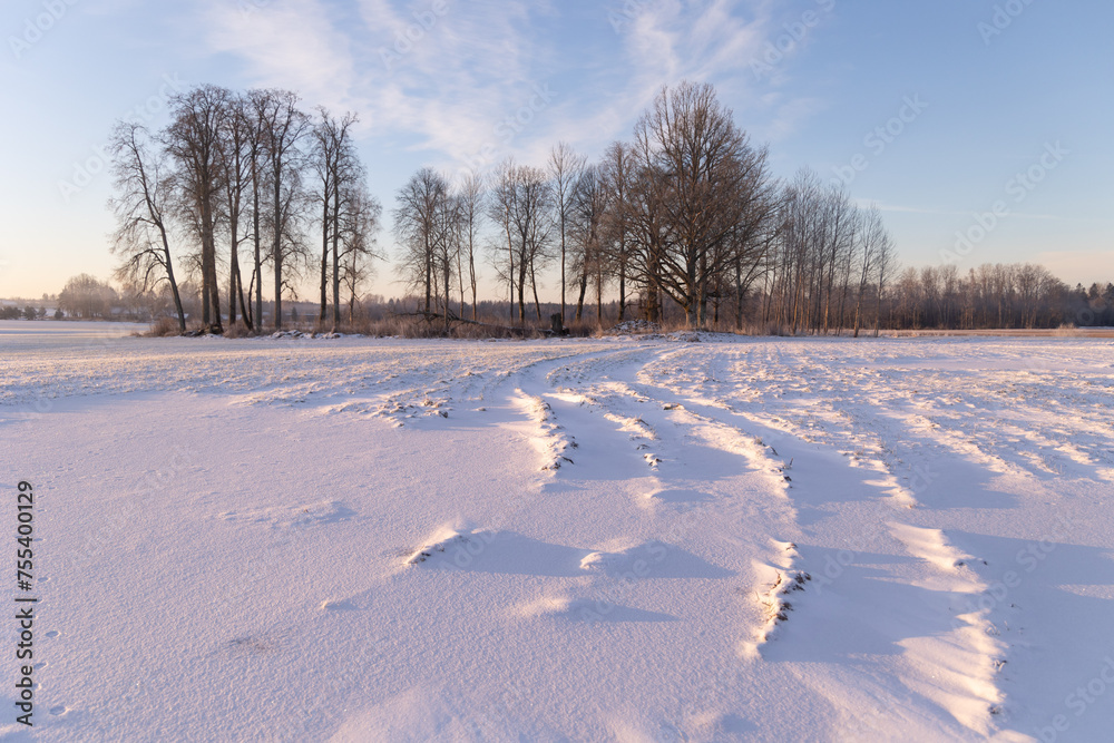 A beautiful winter morning scenery of fresh snow on the field. Seasonal landscape of Northern Europe. A beautiful winter morning scenery of fresh snow on the field. Seasonal landscape of Northern Europe.